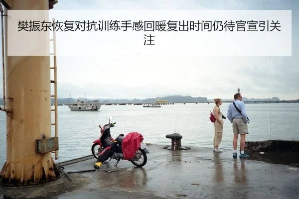 樊振东恢复对抗训练手感回暖复出时间仍待官宣引关注