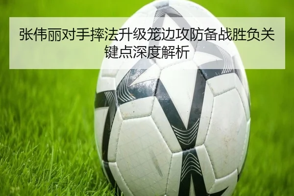 张伟丽对手摔法升级笼边攻防备战胜负关键点深度解析